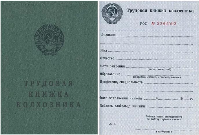 В Украине отменяют трудовые книжки: что будет?