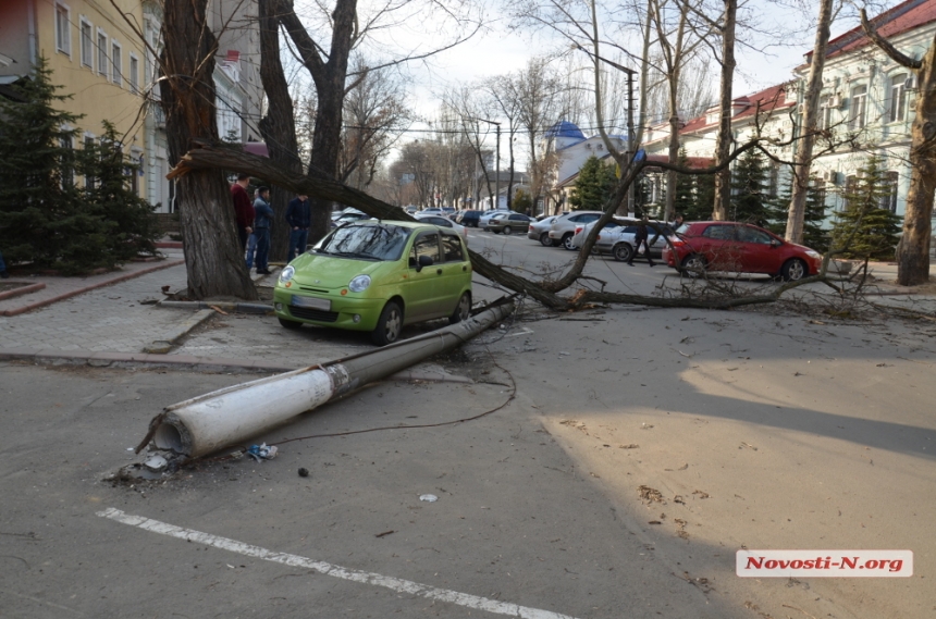 В центре Николаева упавшее дерево свалило столб, повредило автомобиль и заблокировало проезд 