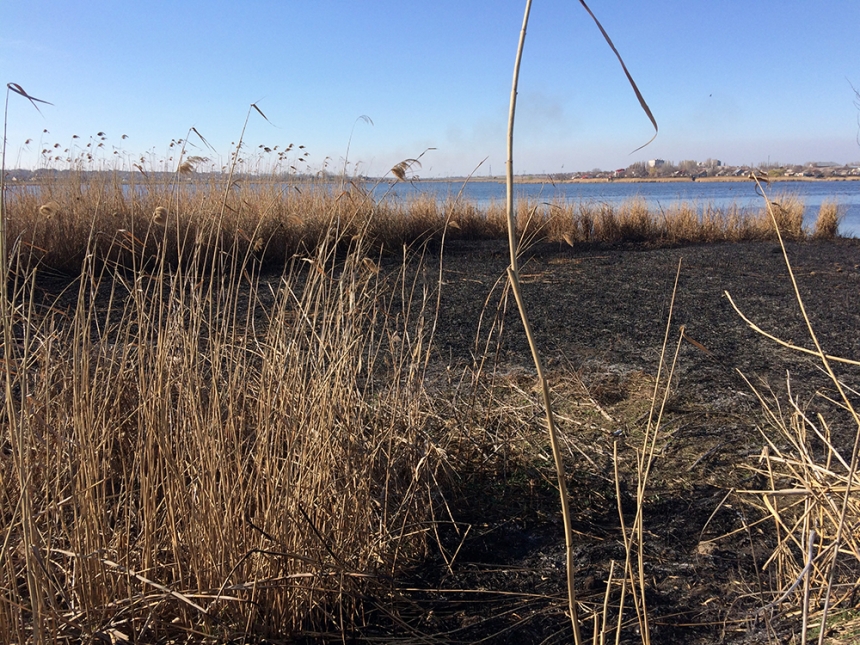 На Николаевщине за сутки произошло 13 пожаров сухой травы, мусора и камыша