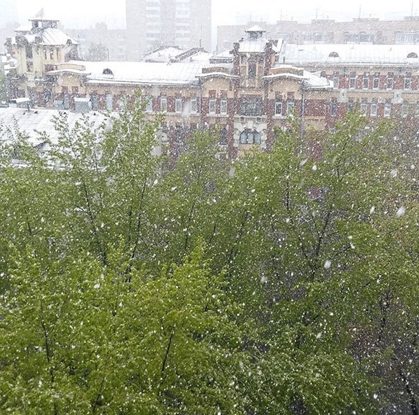 Москву засыпало снегом. ФОТО