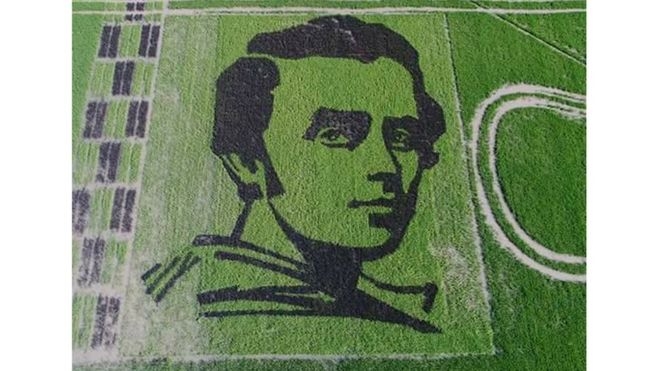 В Херсонской области вырастили гигантский рисовый портрет Шевченко