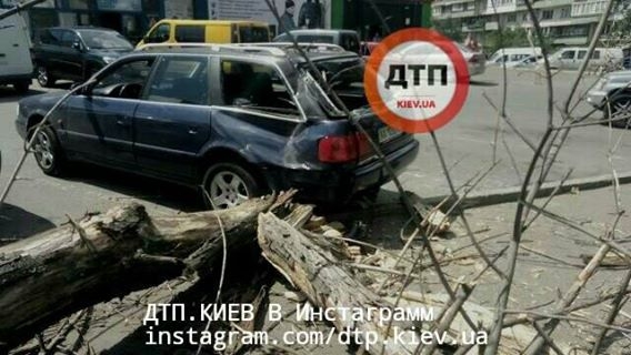 В Киеве дерево рухнуло на машину с 12-летней девочкой внутри