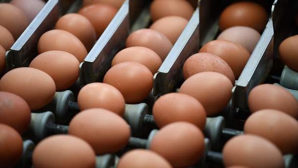 "Яичный скандал" набирает обороты: яйца с токсинами обнаружили в Венгрии
