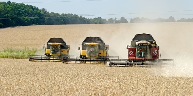 Николаевщина в числе лидеров по количеству намолоченного зерна в Украине