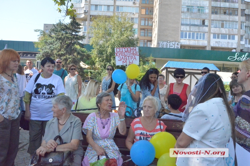 Как в Николаеве пикет против эвтаназии животных проходил: ФОТОРЕПОРТАЖ 