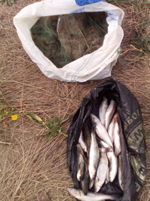 На Бугском лимане задержали браконьера, который незаконно наловил рыбы на 11 тысяч гривен