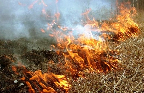 На Николаевщине за сутки зарегистрировано 16 пожаров сухой травы, кустарников и мусора