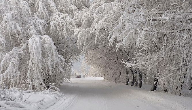 Рекордно холодная зима в Украине: синоптики дали объяснения по некомфортному прогнозу
