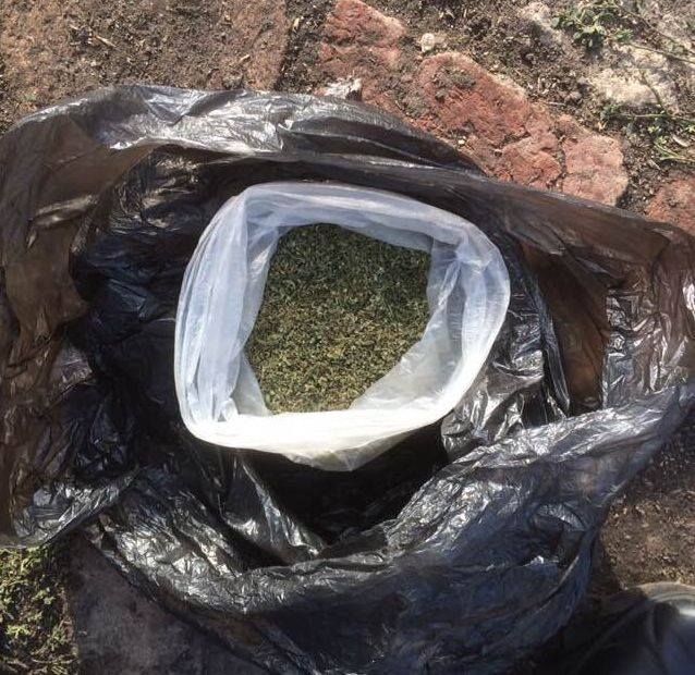 На Николаевщине полицейские нашли в доме у женщины каннабиса на 70 тыс грн