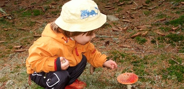 На Николаевщине четверо детей отравились грибами