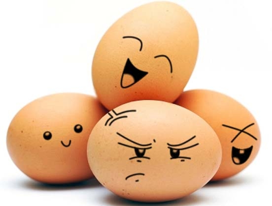 Украинские яйца больше всего закупают страны Азии и Африки