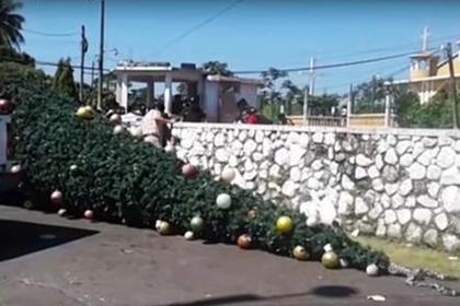 В Гватемале рождественская елка убила пять человек