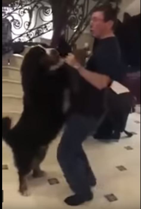 Появилось видео, как генпрокурор Луценко танцует с собакой под зажигательную мелодию