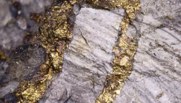На Закарпатье нашли залежи золота