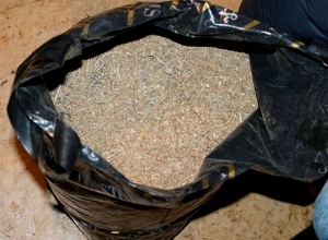 У жителя Новобугского района милиционеры обнаружили более килограмма конопли