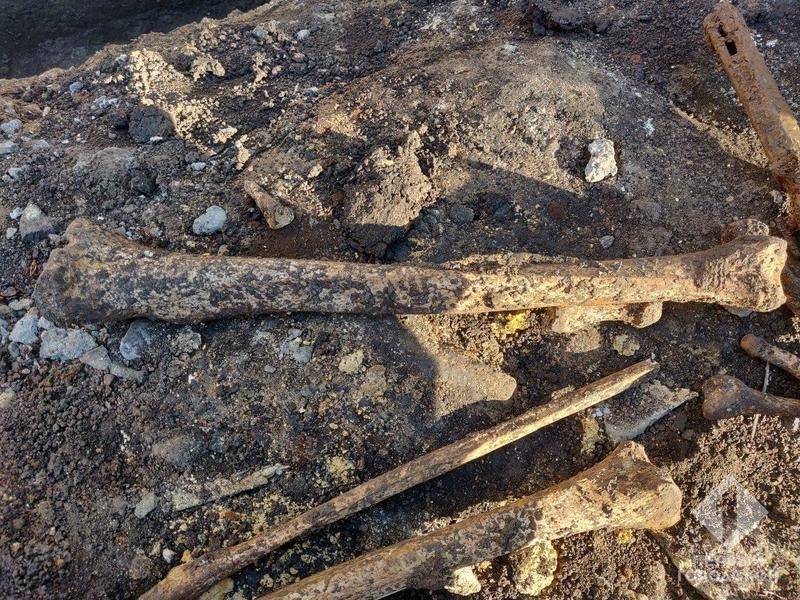В Харьковской области женщина обнаружила человеческие останки в новоприобретенном доме