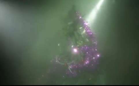 Под Днепром установили новогоднюю елку на глубине 40 метров. ВИДЕО
