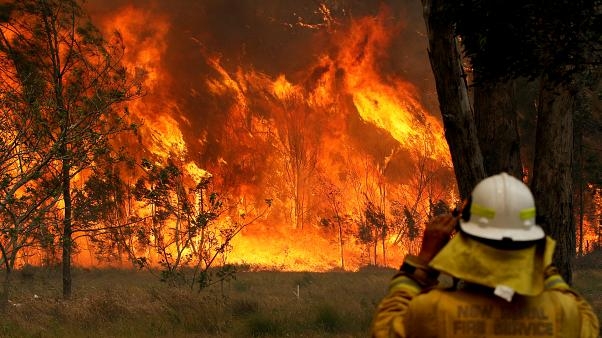 Лесные пожары в Австралии: погиб еще один огнеборец