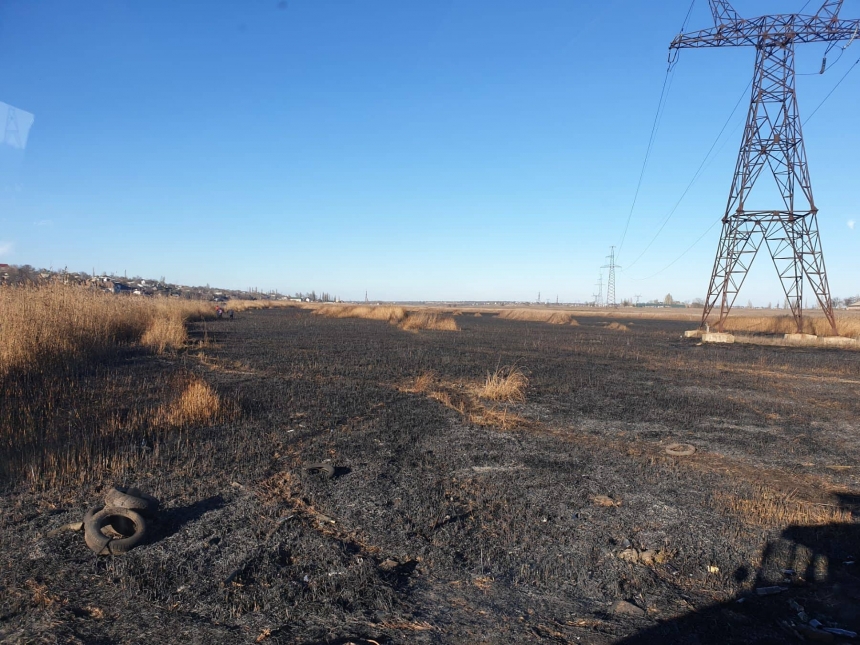 В Николаеве во время пожара на Аляудах сгорело 3 га камыша