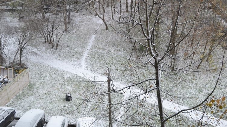 Синоптик сообщила, когда в Украину придет долгожданный снег