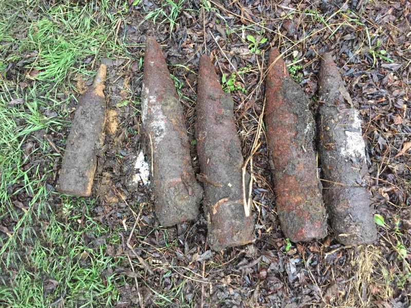 В лесу на Николаевщине нашли пять артиллерийских снарядов
