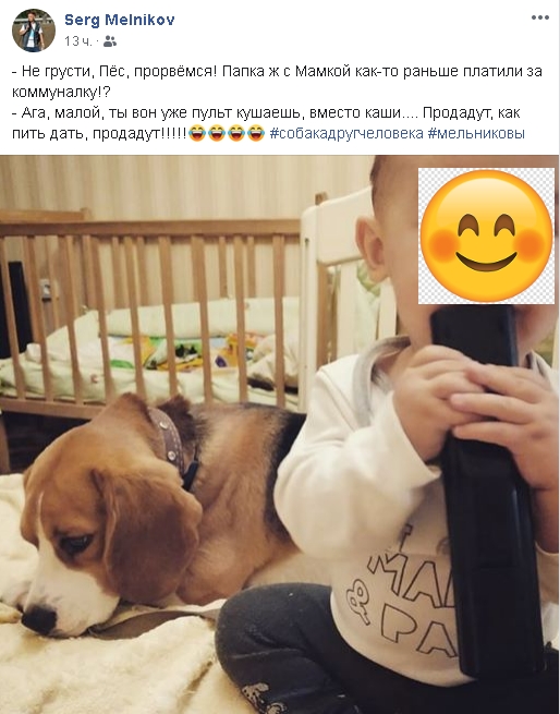 «Продать собаку ради оплаты коммуналки»: николаевцы делятся фото своих питомцев и высмеивают нардепа