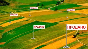 В Украине открывается рынок земли: кто сможет покупать участки