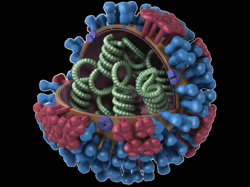 Обнаружено сходство коронавируса с раком