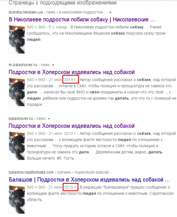 В сети аферисты собирают деньги на собаку, с которой «николаевские дети срезали шкуру»