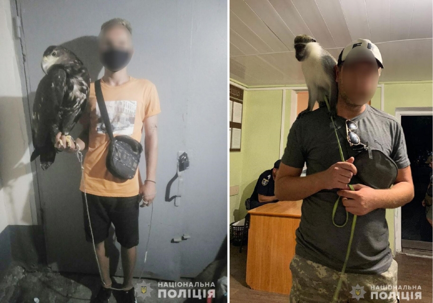 Полиция открыла уголовное дело по факту истязания животных в Коблево. Видео