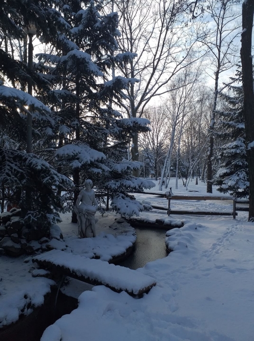 Зимняя сказка: в сети показали, как выглядит заснеженный Николаевский зоопарк