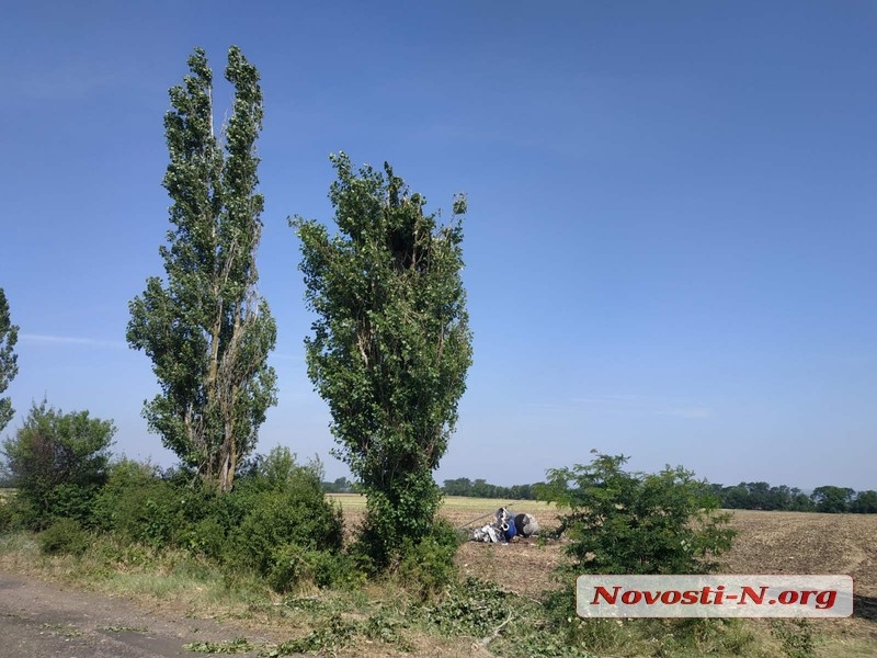 Вертолет, разбившийся под Николаевом, перед падением зацепил дерево