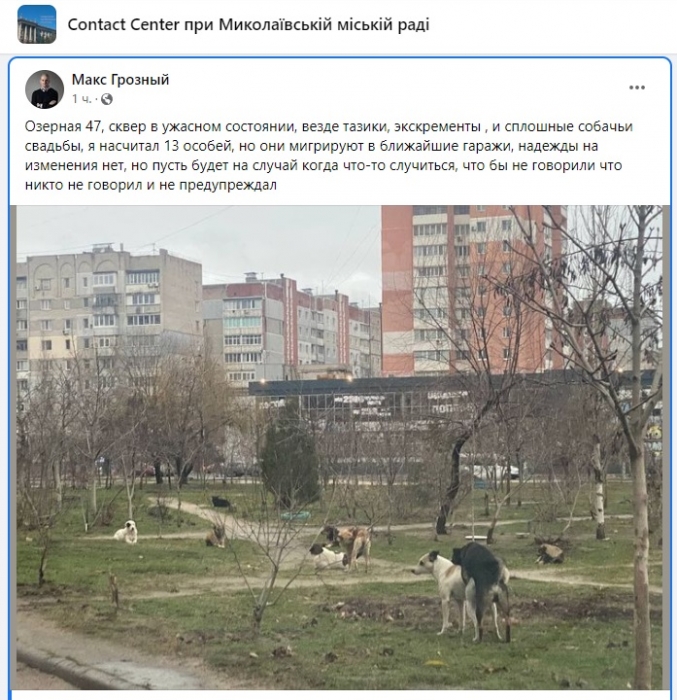 В Николаеве сквер «оккупировала» стая бездомных собак