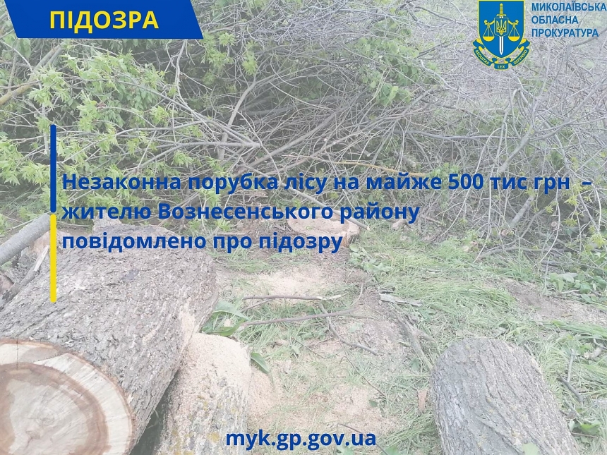 В Николаевской области браконьер вырубил деревья почти на полмиллиона гривен