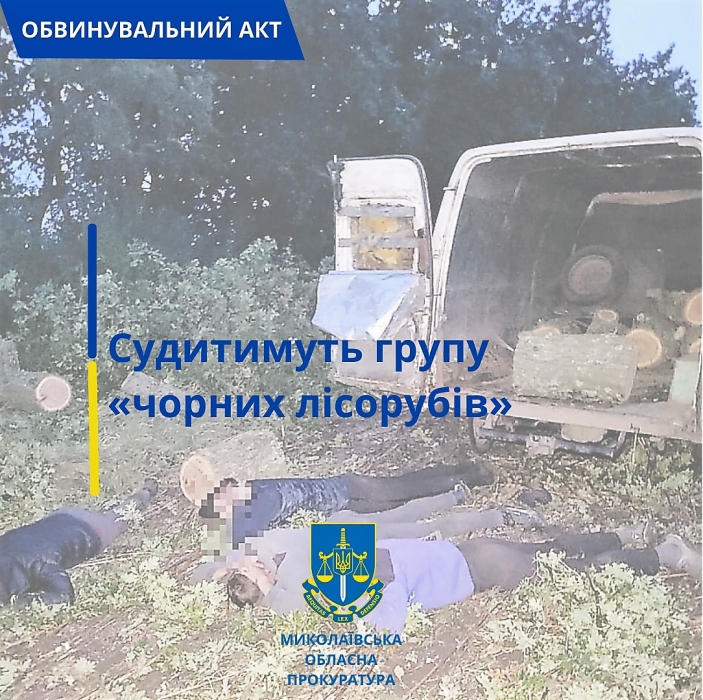 В Николаевской области судят «черных лесорубов», срубивших деревья более чем на 300 тысяч