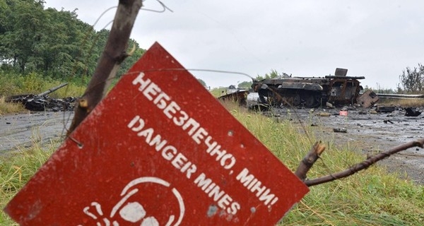 В Николаевской области на вражеской мине подорвались две коровы