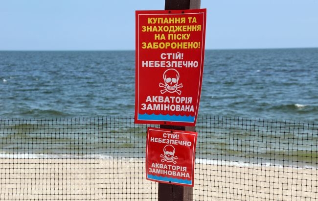 В Одесской области на берег моря вынесло мину (видео)