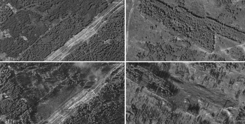 Россияне на оккупированной территории Украины вырубают и крадут лес: снимки со спутника 