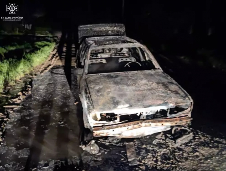 В Николаевской области на ходу загорелся Volkswagen