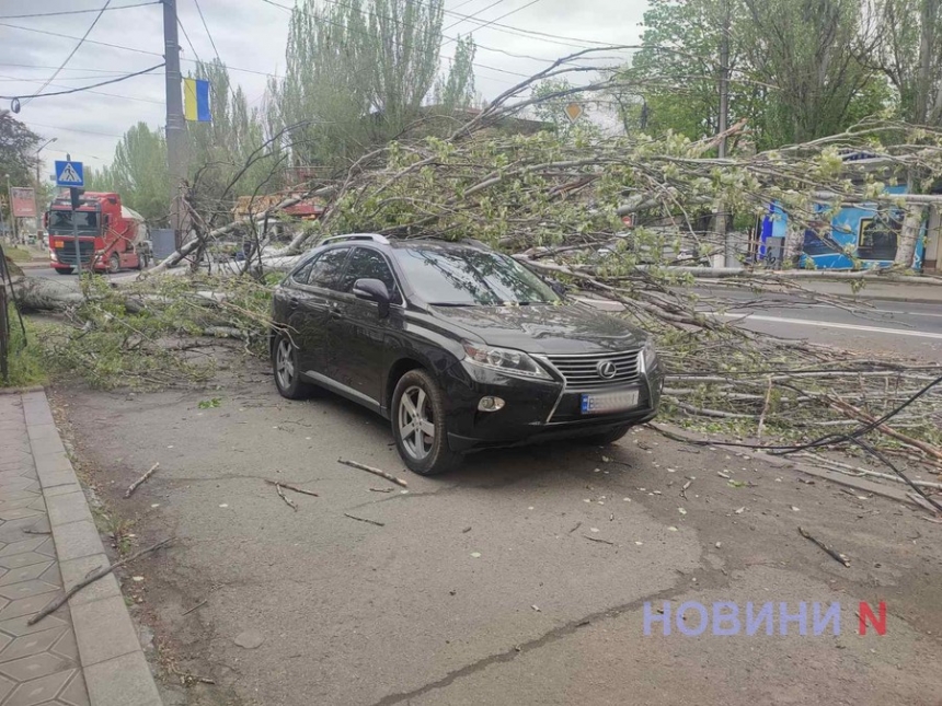 У центрі Миколаєва старе дерево впало на автомобіль і обірвало дроти (фото)