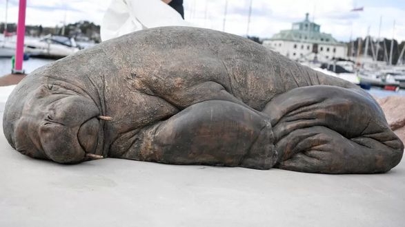 В Норвегии открыли скульптуру моржа, который убил людей