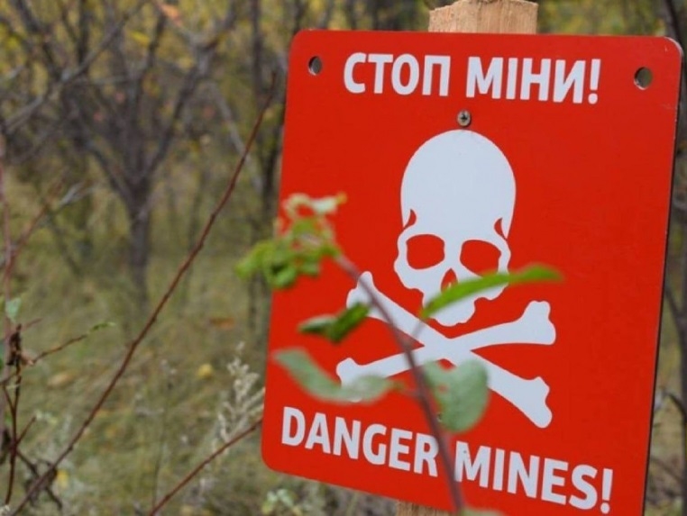 На Миколаївщині замінованими залишаються 288 тисяч гектарів землі