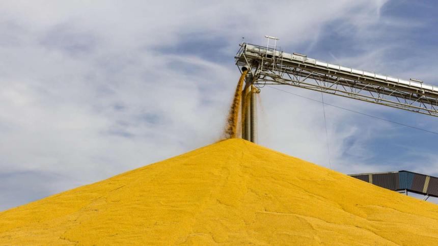 Оккупанты начали вывозить краденное украинское зерно из Мариуполя