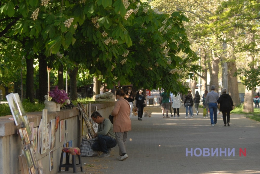 Як у Миколаєві цвіте каштан – травнева радість городян (фоторепортаж)