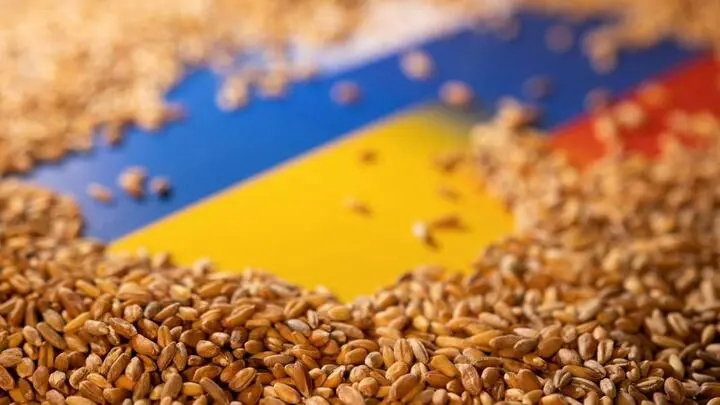 Україна, Туреччина, ООН та РФ домовилися про продовження «зернової угоди»