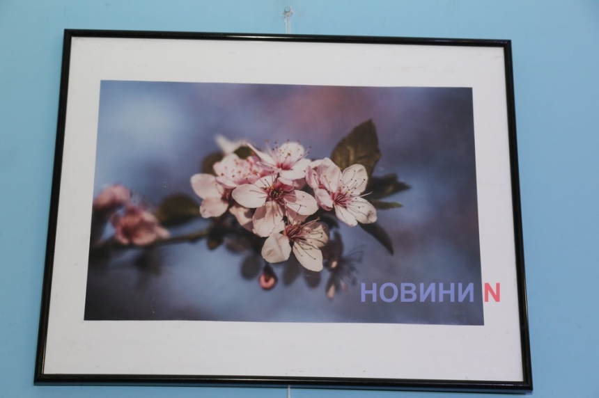 Красоты природы  в работах николаевского фотографа (фоторепортаж)