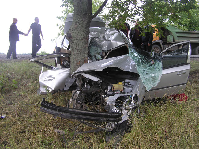 Обгон на трассе Николеавщины закончился трагедией – водитель погиб после столкновения авто с деревом (ФОТО)