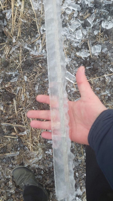 Километры сетей покрыты льдом: более 25 тыс. домов в Николаевской области — без света