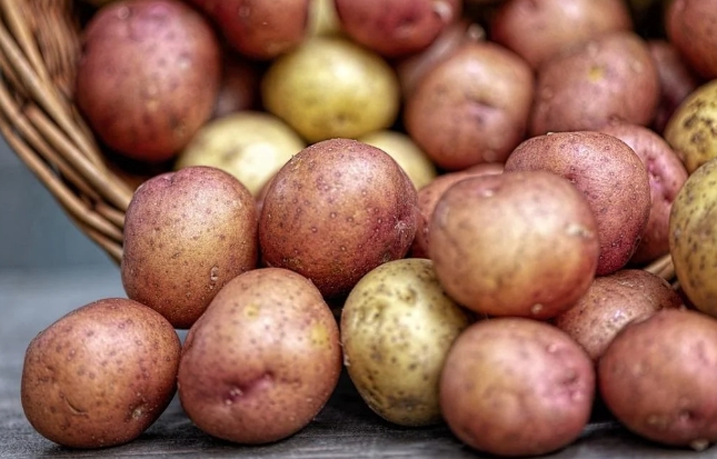 Украина начала покупать картофель за рубежом
