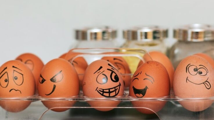 Каждое третье яйцо вернули поставщикам: результаты проверок продуктов для ВСУ